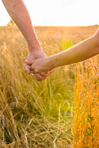 Back view of beautiful love couple holding hands outdoors over a summer field background. Close-up