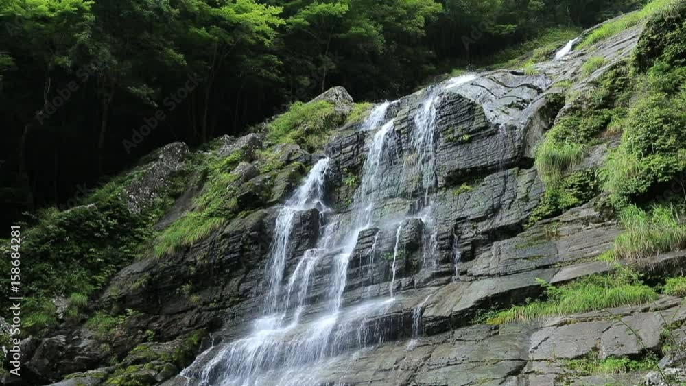 程野の滝 東滝(高知県いの町) フィックス 程野の滝 東滝(高知県いの町) フィックス