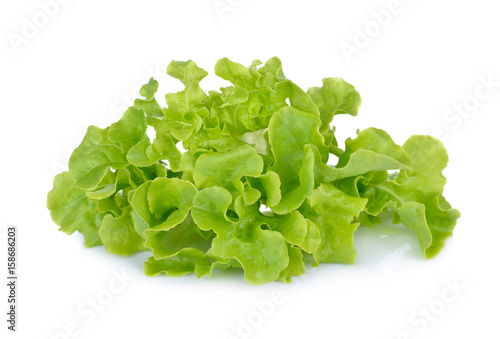 fresh green lettuce on white background