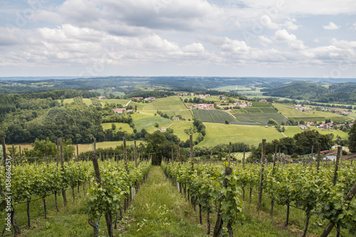 Blick in das steirische Vulkanland