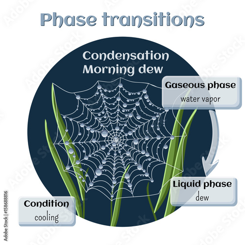 Changes of states. Water condensation - morning dew.