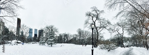 Snow at Central Park in panorama view, New York © Spinel