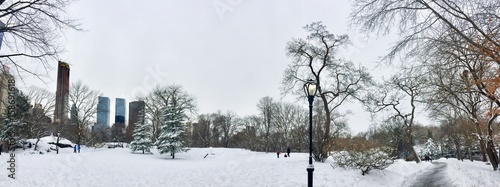 Snow at Central Park in panorama view, New York © Spinel
