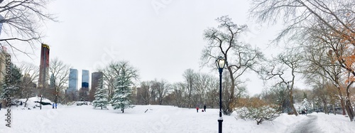 Light pole and trees on snow field at Central Park and buildings in panorama view, New York © Spinel