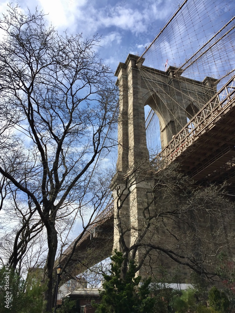 Fototapeta premium Brooklyn bridge and no leaves tree with blue sky