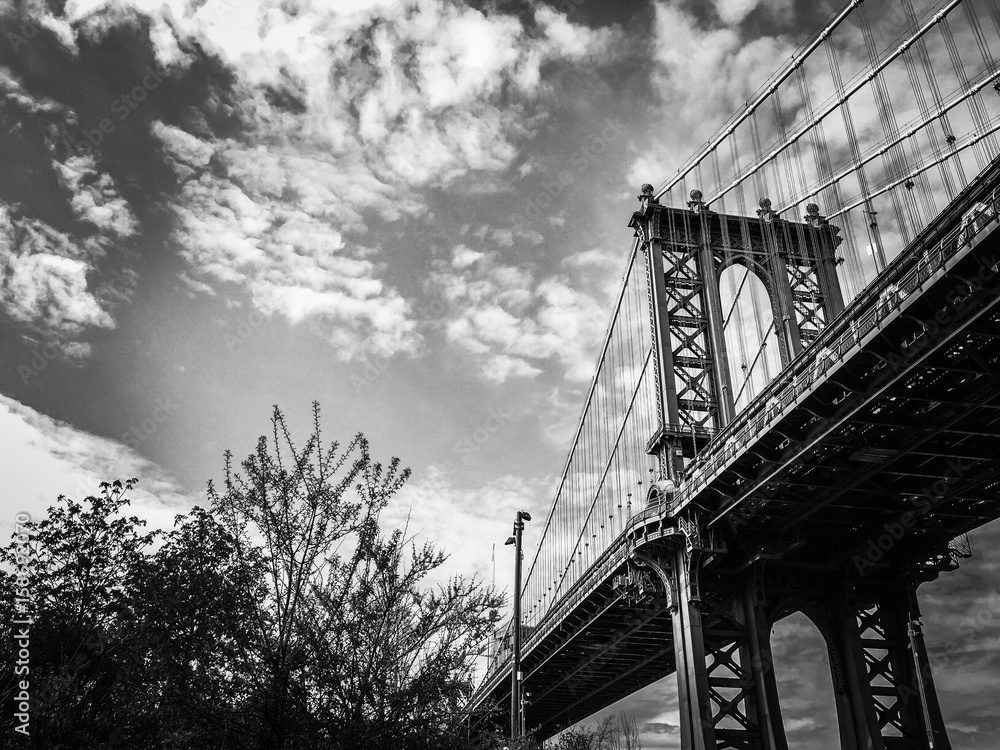 Naklejka premium Manhattan bridge and plants in the park with cloudy sky in black and white