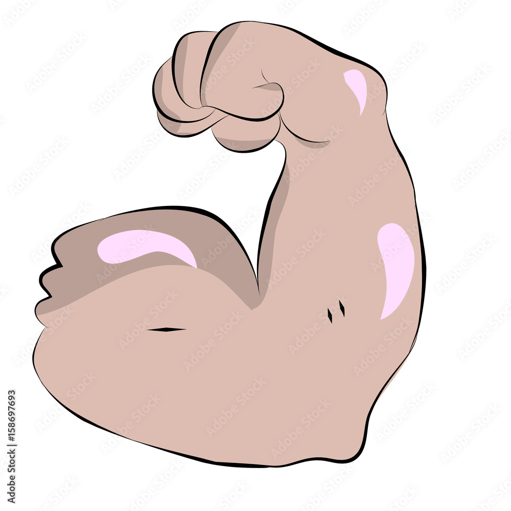 Biceps illustration of a muscular man left arm, fitness or bodybuilding Biceps illustration of a muscular man left arm, fitness or bodybuilding