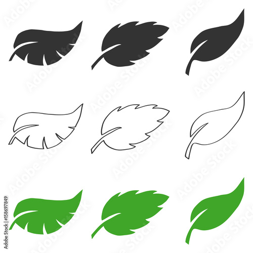 Leaflets of trees