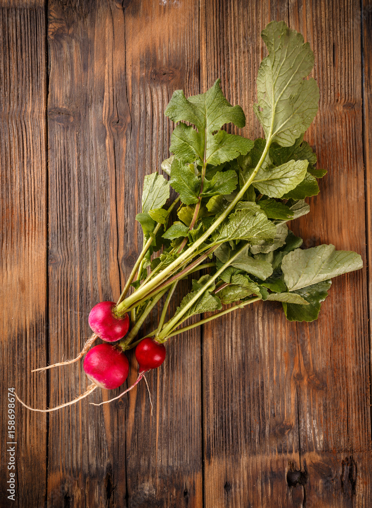 Bunch of fresh radishes Bunch of fresh radishes