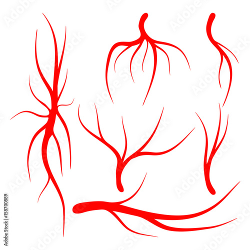 human vein set vector symbol icon design.