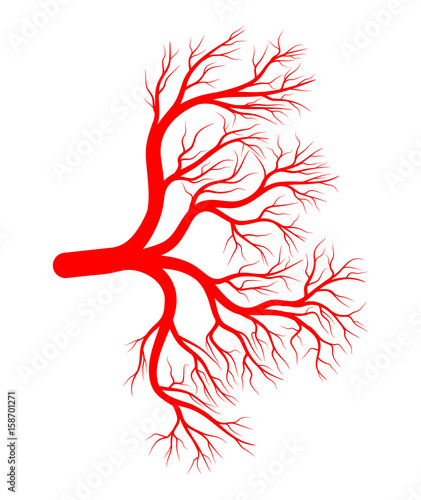 eye vein silhouette vector symbol icon design.