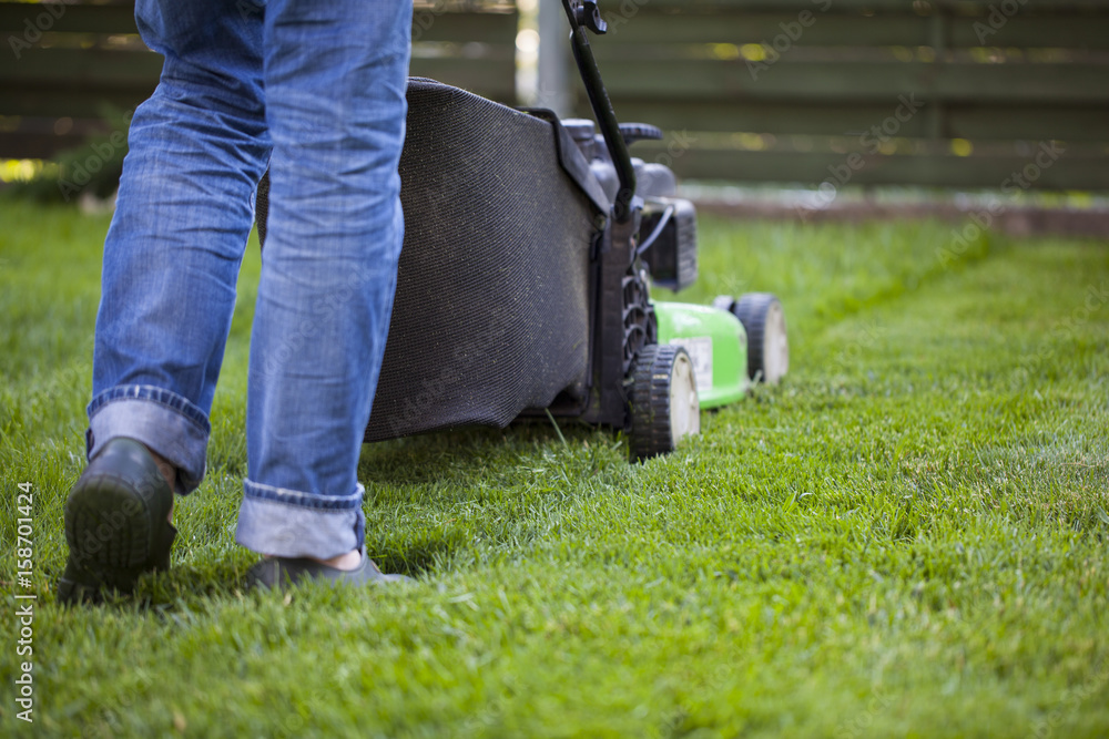 Obraz premium the man mowing lawn in the backyard of his house. Lawn mowing. Green grass is mowed lawn mower