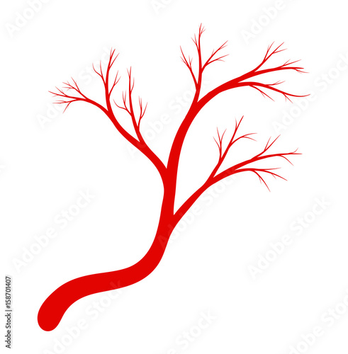eye vein silhouette vector symbol icon design.