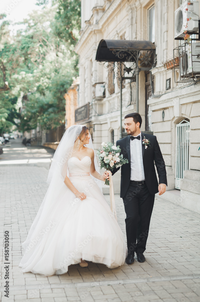 Luxury married wedding couple, bride and groom posing in old city Luxury married wedding couple, bride and groom posing in old city