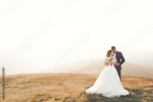 Valokuvatapetti Happy wedding couple posing over beautiful landscape in the mountains
