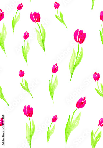 Seamless pattern flowers on a white background. Watercolor illustration of pink tulips.