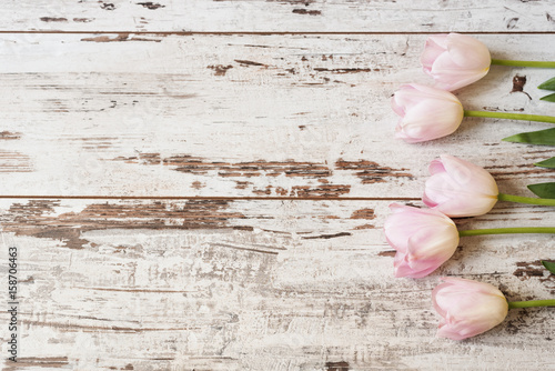 Stunning pink tulips on white light rustic wooden background. Copy space, floral frame. Vintage, haze looking. Wedding, gift card, valentine's day or mothers day background