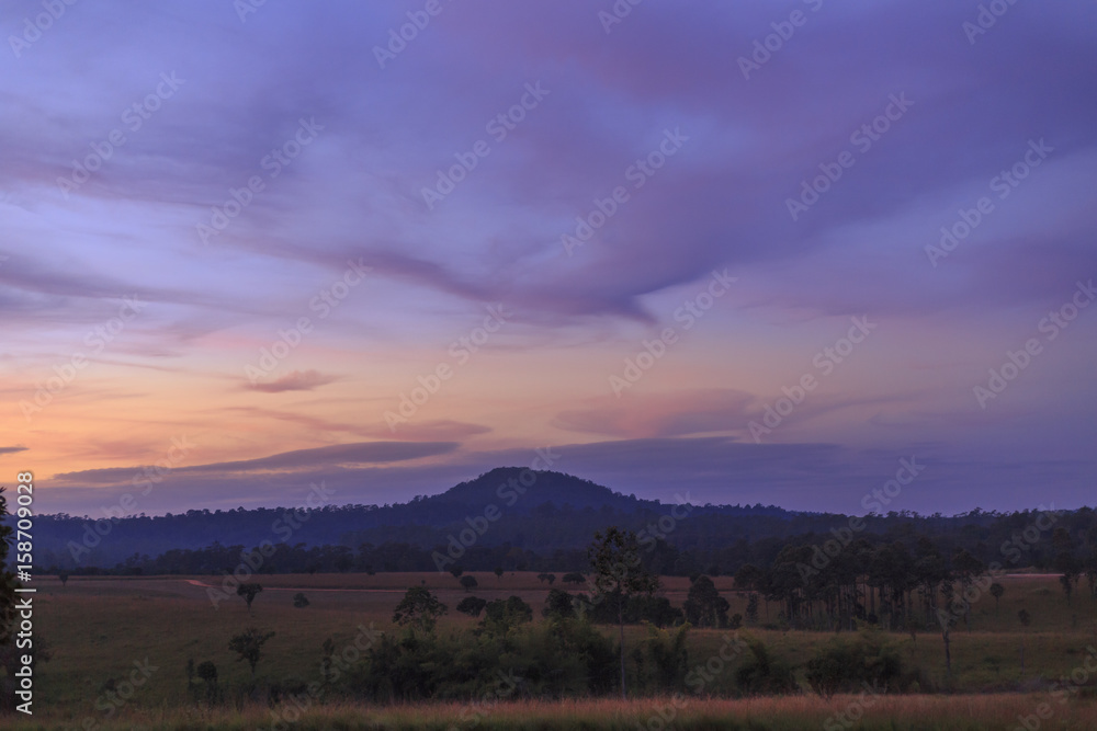 Sky and tree mountain morning./Viewpoint (Thung Salaeng Luang), Phitsanulok, Thailand.
