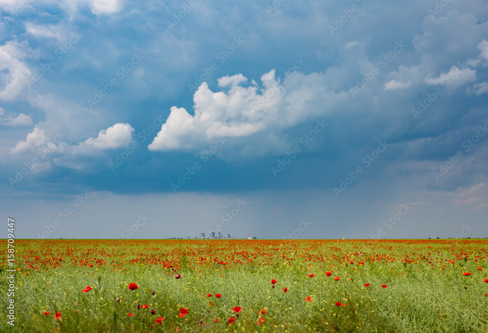 Poppies field with industrial background and dramatic clouds