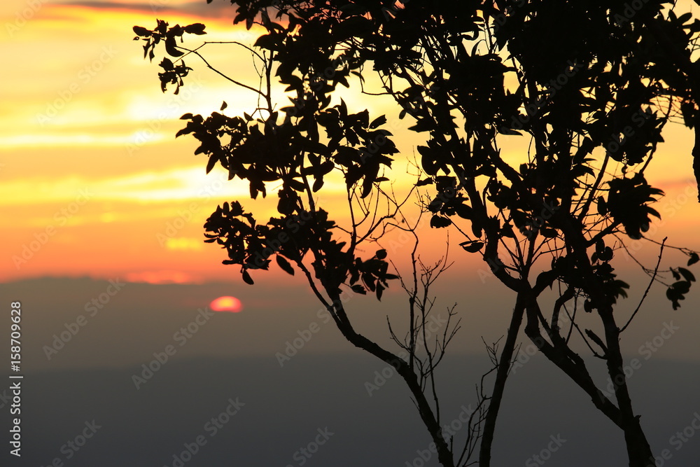 Naklejka premium Sunrise and Sunset.