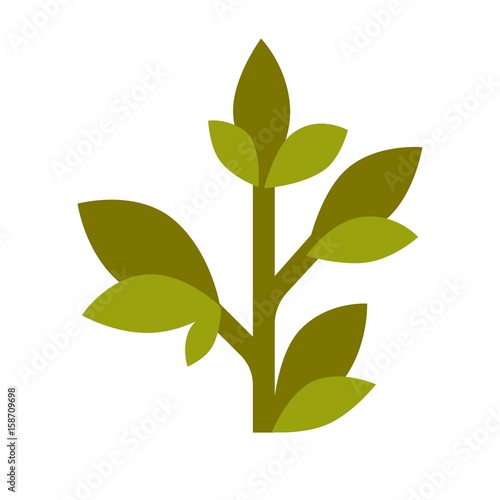 Green tea grown plant flat cartoon isolated illustration