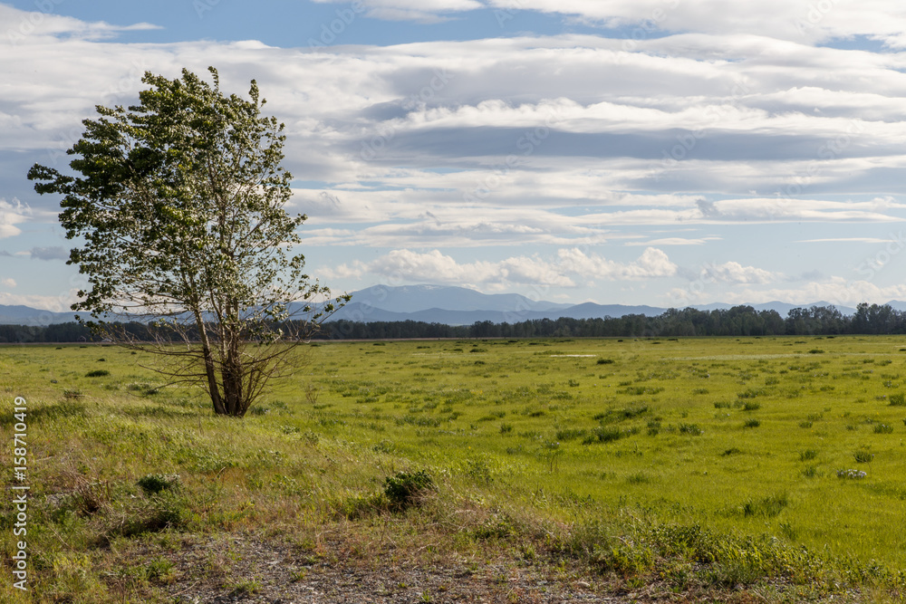 Nature of Khakassia