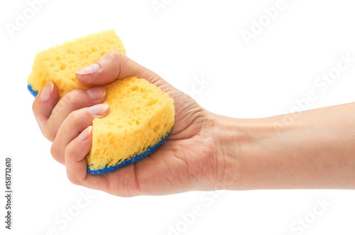 Female hand holds new and clean sponge for cleaning. Isolated on white background