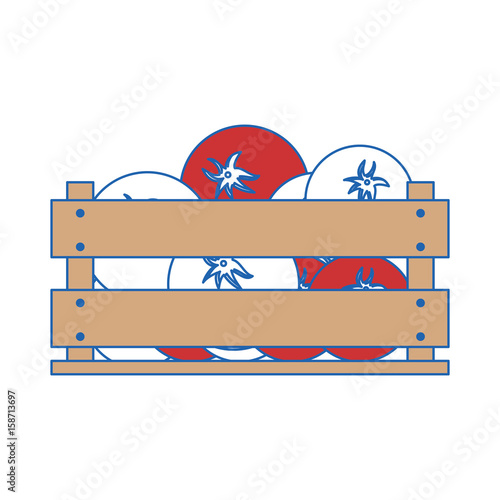 tomatos in wood box icon vector illustration graphic design