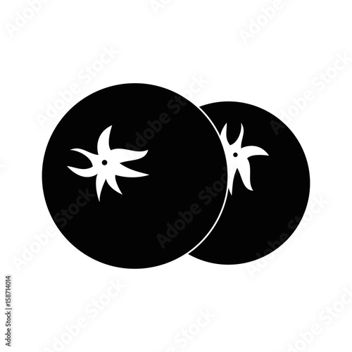 Fresh tomatos vegetable icon vector illustration graphic design
