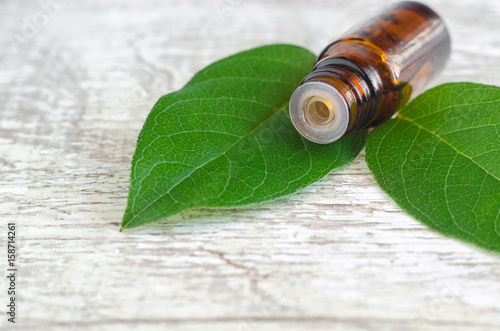 Small bottle of essential oil and fresh leaves on the wooden background. Aromatherapy and spa concept. Close up, copy space.