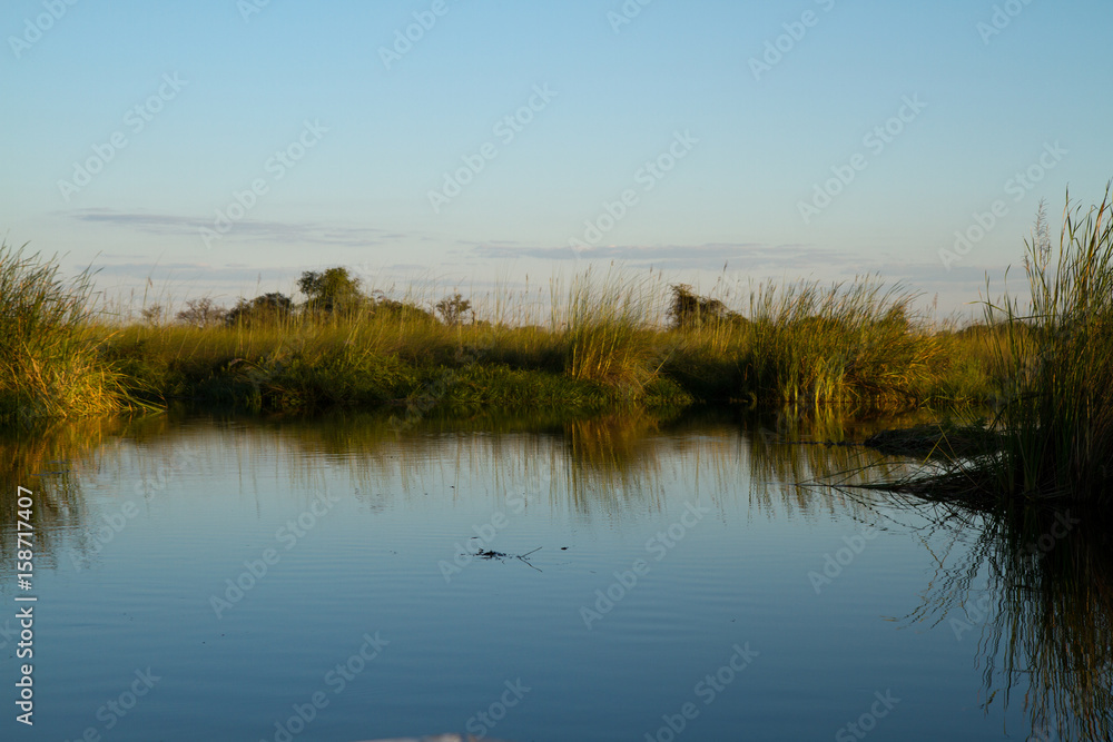 nature of the okavango delta in botswana