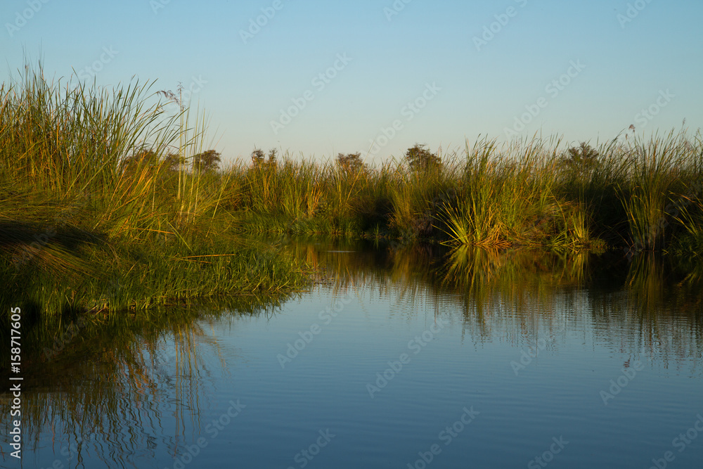 nature of the okavango delta in botswana nature of the okavango delta in botswana
