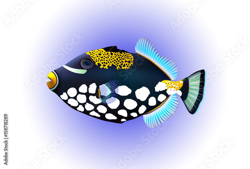  Digital illustration of a triggerfish