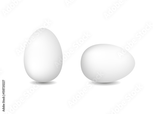 Two vector white eggs. Isolated eggs on white background.