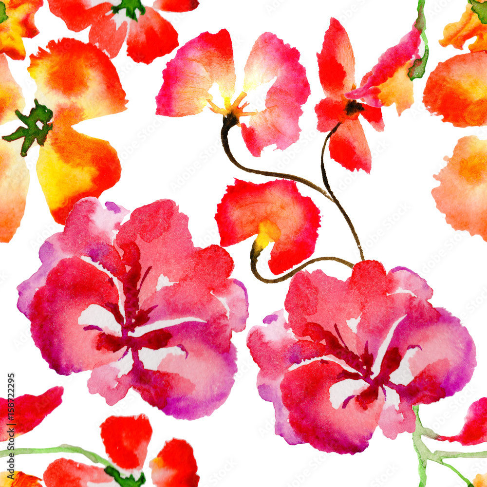 Wildflower flower pattern in a watercolor style isolated.