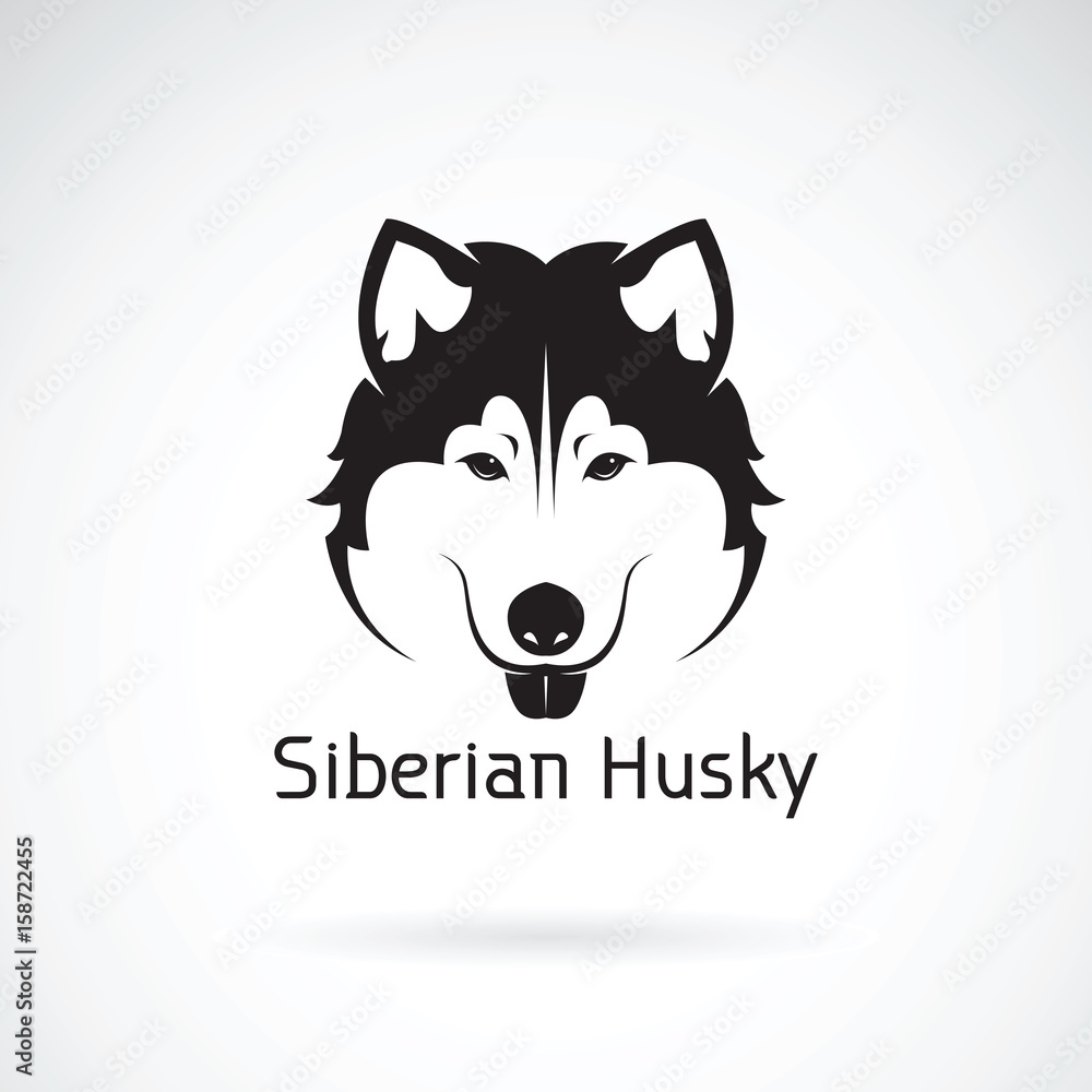 Vector of a dog siberian husky on white background. Pet Vector of a dog siberian husky on white background. Pet