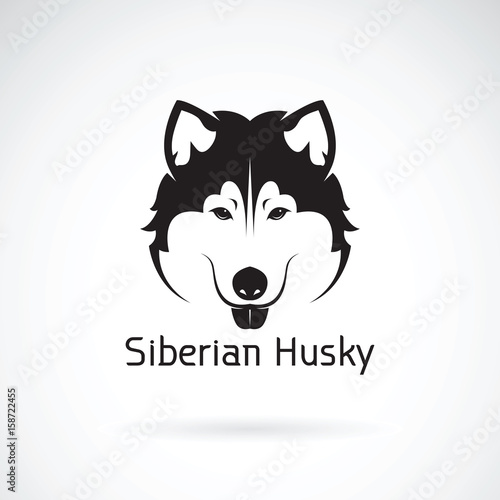 Vector of a dog siberian husky on white background. Pet