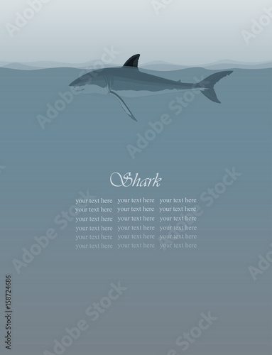 Sea background with a shark and a fin sticking out of the water, vector illustration