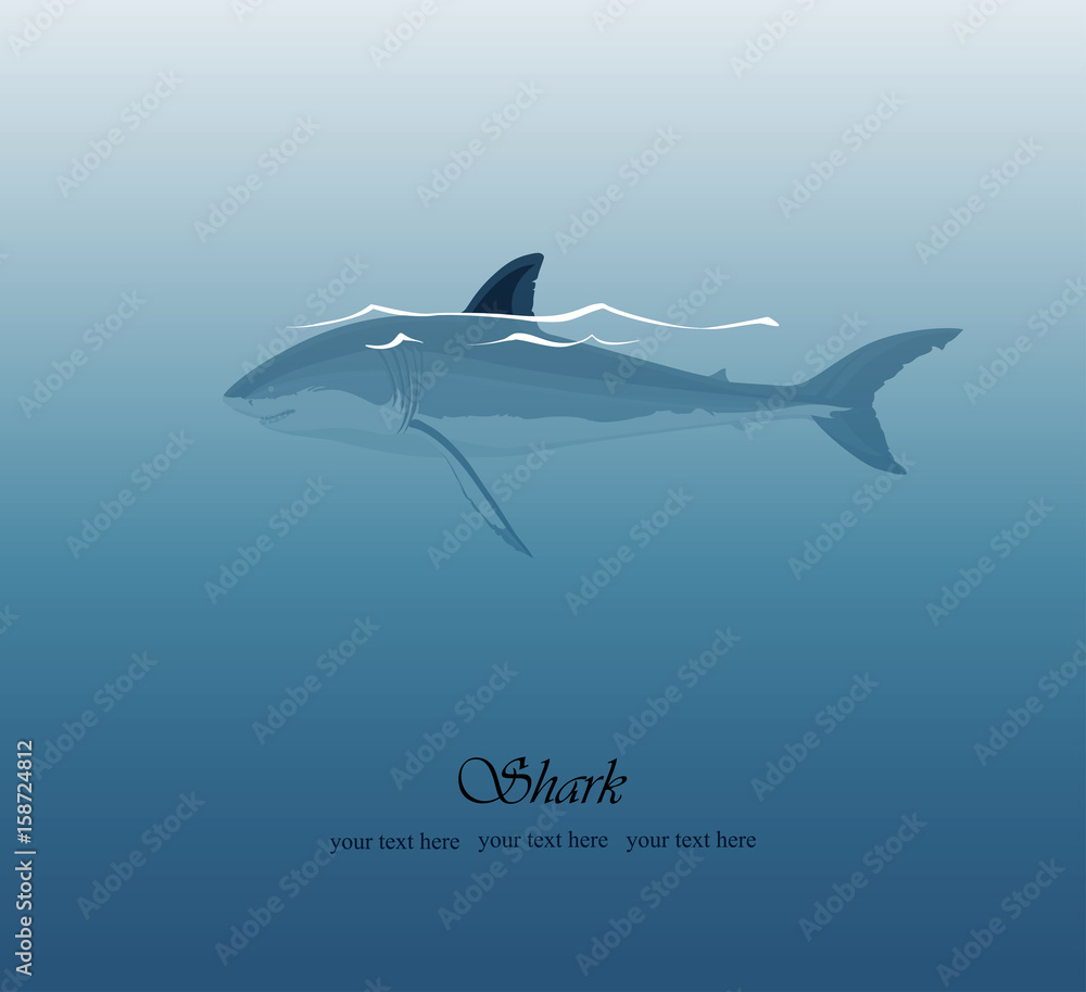 Obraz premium Sea background with a shark and a fin sticking out of the water, vector illustration
