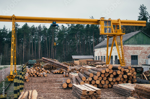 Wood logging, sorting, transportation and processing on sawmill