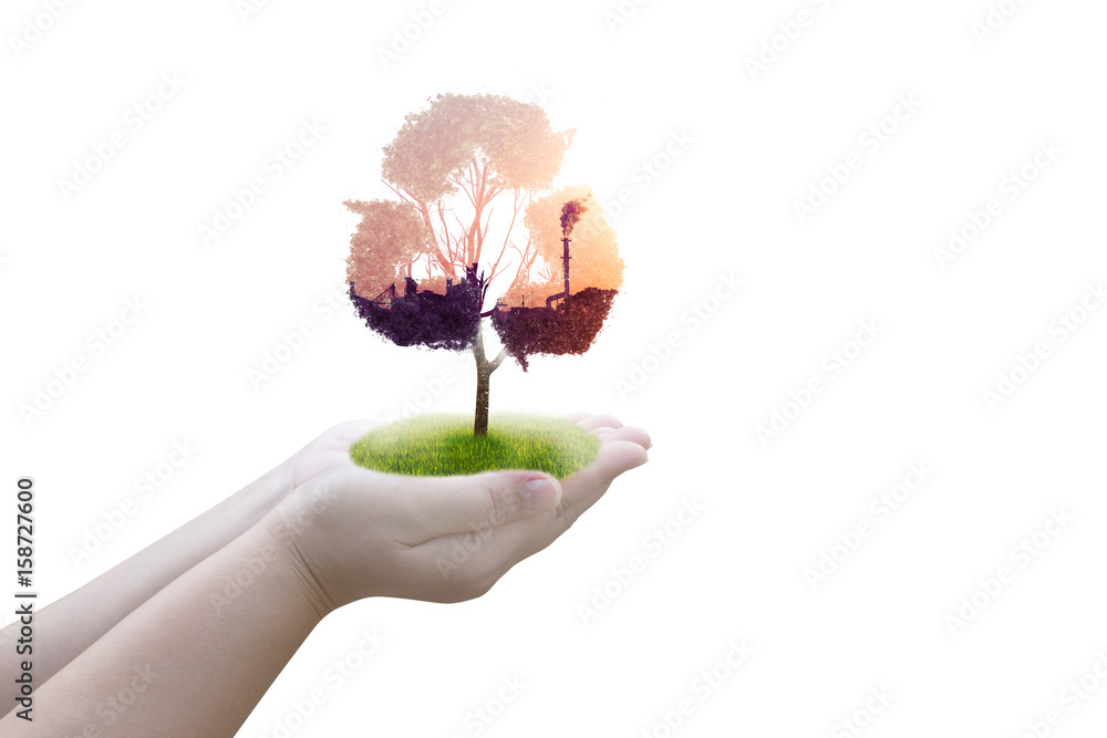 Hand holding tree with recycle concept