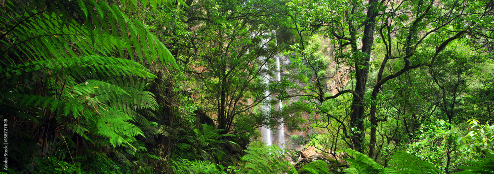 Australia Landscape : Queen Mary Falls of Main Range National Park in Queensland