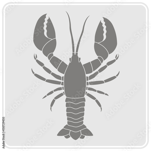 monochrome icon with lobster for your design © drutska