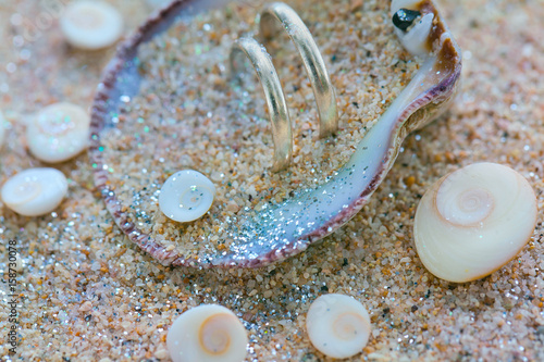 Two wedding rings in sea shell with shiva eye stones on the coral beach