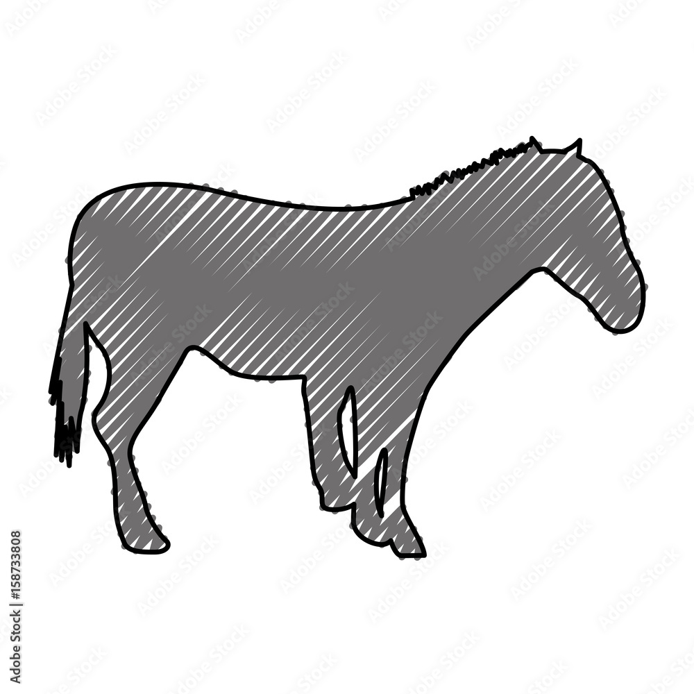 Fototapeta premium horse silhouette isolated icon vector illustration design
