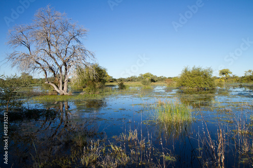 flooded land in namibia, africa