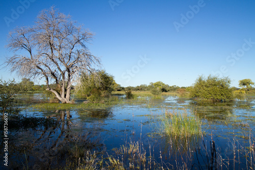 flooded land in namibia © franco lucato