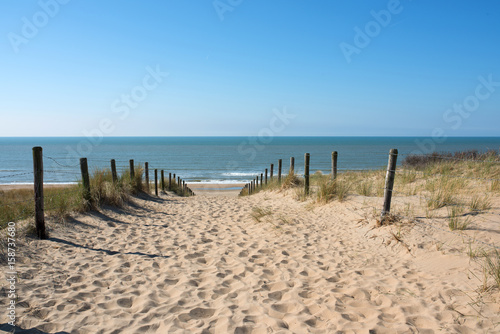 Path in the dunes with sea view