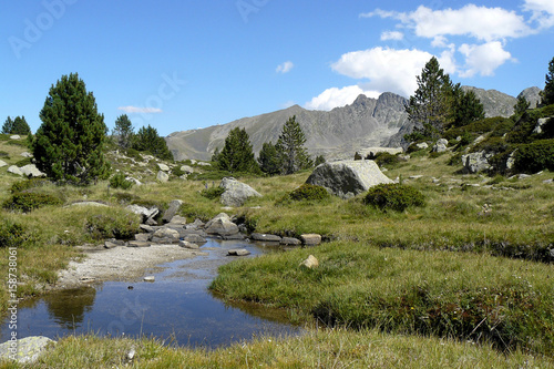 Arroyo de montaña
