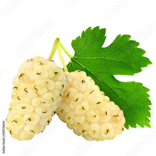 Bild auf Leinwand Fresh ripe white mulberry berries with leaves isolated on white background